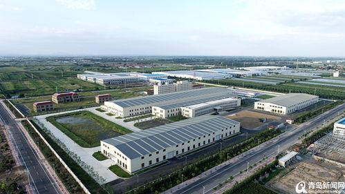 青農大明(ming)年(nian)春(chun)季(ji)啟用 平(ping)度(du)南村(cun)加快(kuai)臨空(kong)經(jing)濟區(qu)建(jian)設(she)