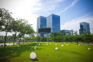 凰(huang)探 十(shi)年(nian)高新鑄就(jiu)產(chan)業(ye)新(xin)引擎 誰是新動(dong)能的(de)引領(ling)者