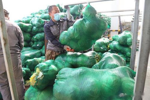 青(qing)島(dao)西(xi)海(hai)岸(an)新(xin)區供銷社(she)攜手(shou)新(xin)材料科技(ji)助(zhu)力湖北農(nong)產品破解(jie)滯(zhi)銷困局(ju)