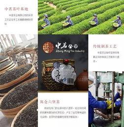 秋(qiu)燥(zao)來(lai)襲(xi)，六堡(bao)茶潤燥(zao)大(da)會青(qing)島(dao)新(xin)材料啟動