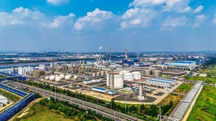 青島(dao)董家口經(jing)濟(ji)區重點項(xiang)目(mu)集(ji)中簽約(yue)開工(gong)，新(xin)材料產(chan)業迎(ying)來(lai)新(xin)動能(neng)