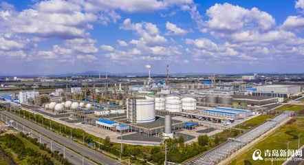 【青視點】從(cong)“壹(yi)棵樹”到“壹(yi)片(pian)林” 青島(dao)新(xin)材料專(zhuan)業園(yuan)區崛起(qi)，新(xin)興產業生態(tai)加速成勢